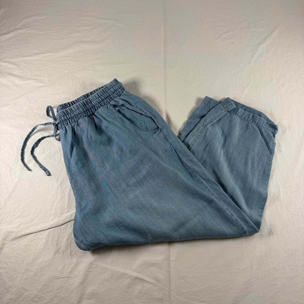 Workshop Republic Clothing Size 1X Blue Chambray Tencel Lyocell Jogger Pants